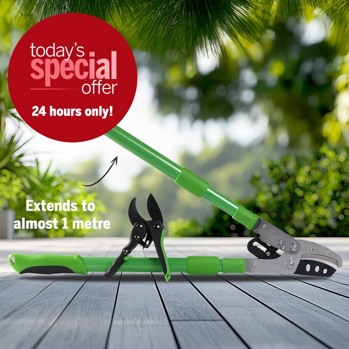 Today's Special Offer Telescopic Ratchet Lopper and Pruner 2 Piece Set