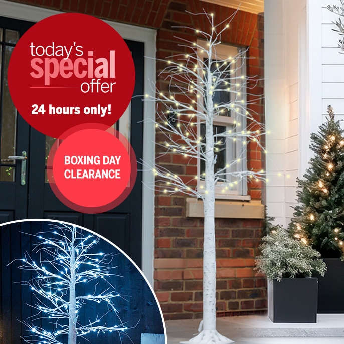 Today's Special Offer Enchanted Garden Smart Colour Changing LED Tree with Remote