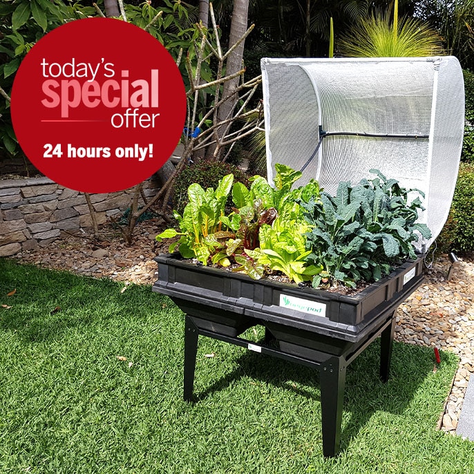 Today's Special Offer Vegepod Medium Pod Bundle with Cover & Stand