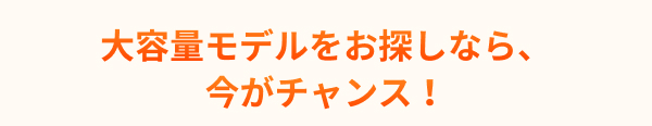 大容量モデル