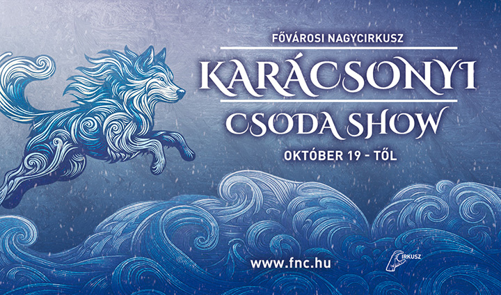 Karácsonyi CsodaShow - Magic around Christmas