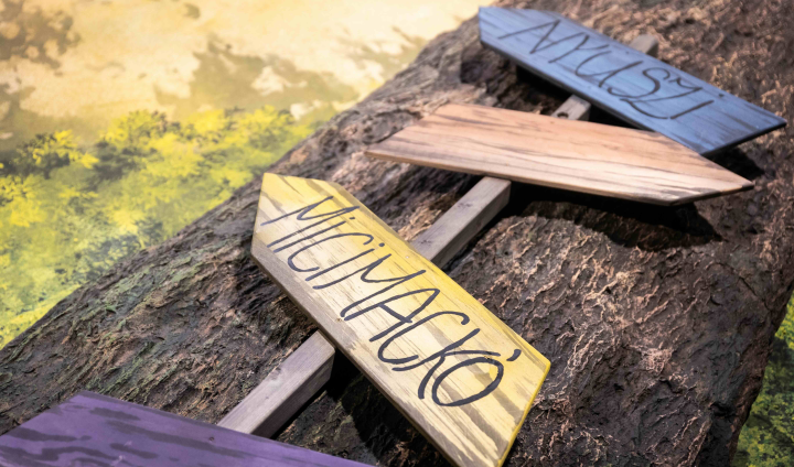 Micimackó, avagy mi lesz a Százholdas Pagonnyal?