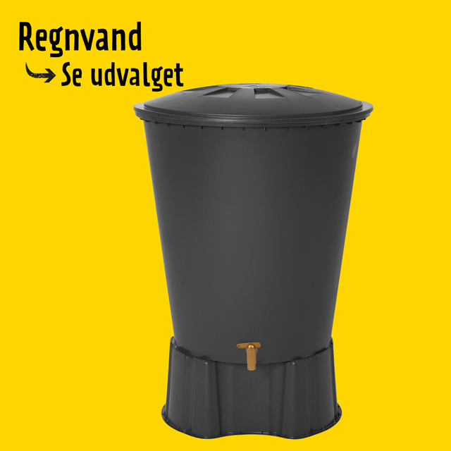 Regnvand