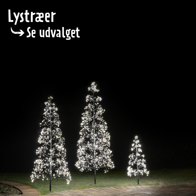 Lystræer