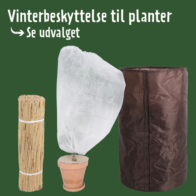 Vinterbeskyttelse til planter