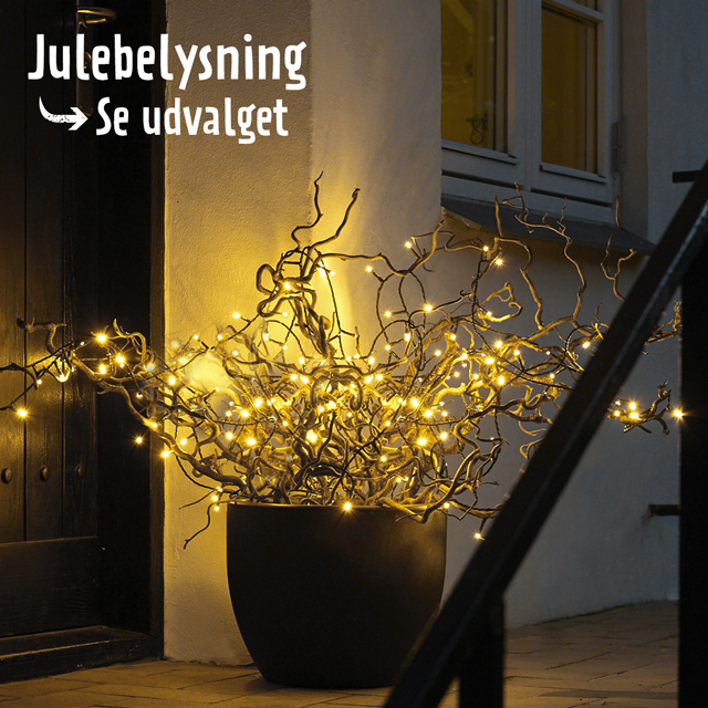 Julebelysning