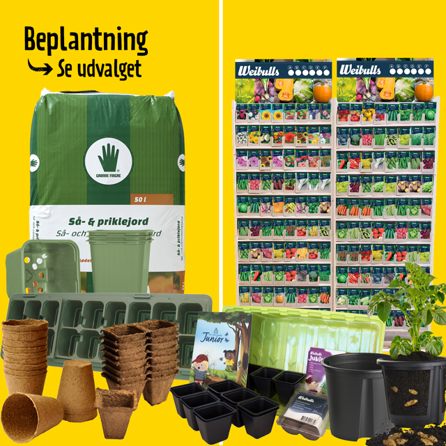 Beplantning