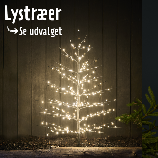 Lystræer - se udvalget
