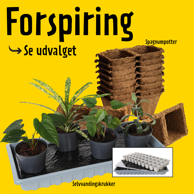 Forspiring - se udvalget