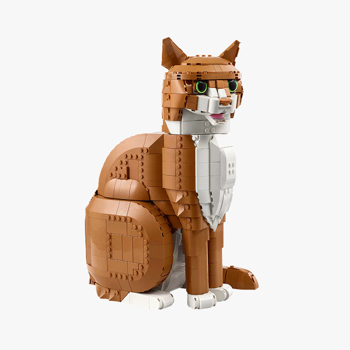 Build LEGO® magic together