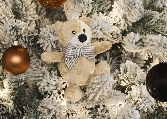 Get your exclusive Mini Lewis Bear