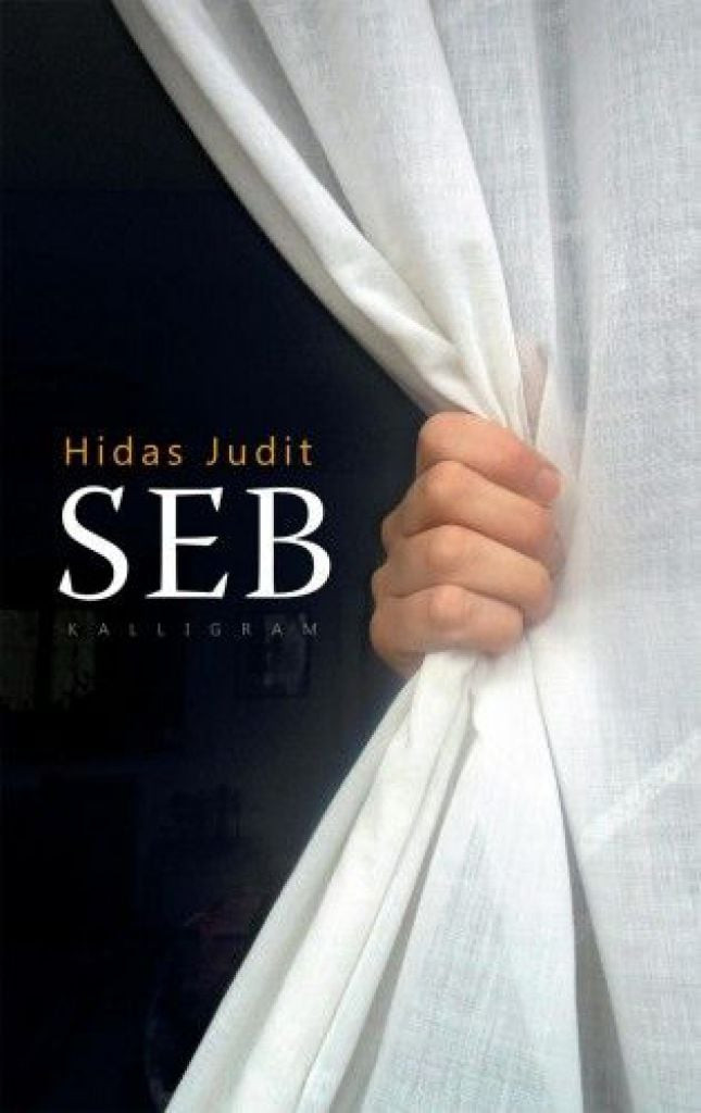 Hidas Judit: Seb (szépséghibás)
