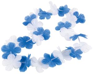 Image of Lei Suomi