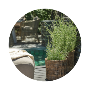 Плетени кашпи от JYSK