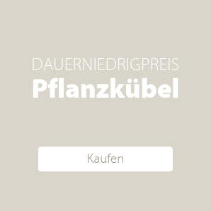 Pflanzkübel