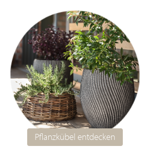 Pflanzkübel