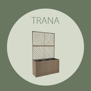 TRANA