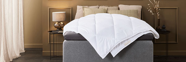 Melyik paplant válaszd? Teljes körű útmutató