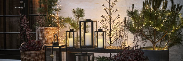 Karácsonyi választék