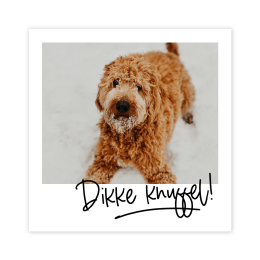 Witte fotokaart met hond dikke knuffel