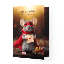 Bedankkaartje piepklein berichtje stoer muisje superheld