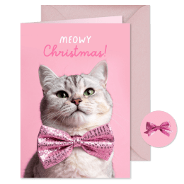 Vrolijke kerstkaart met kat en roze strik