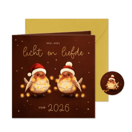 Nieuwjaarskaart roodborstjes met lampjes licht en liefde