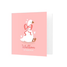 Felicitatiekaart geboorte 'welkom lief klein meisje'