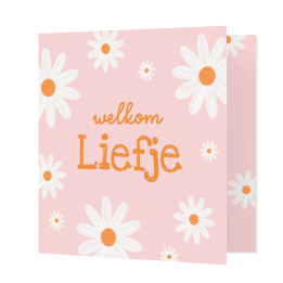Lieve felicitatiekaart met madeliefjes voor geboorte dochter