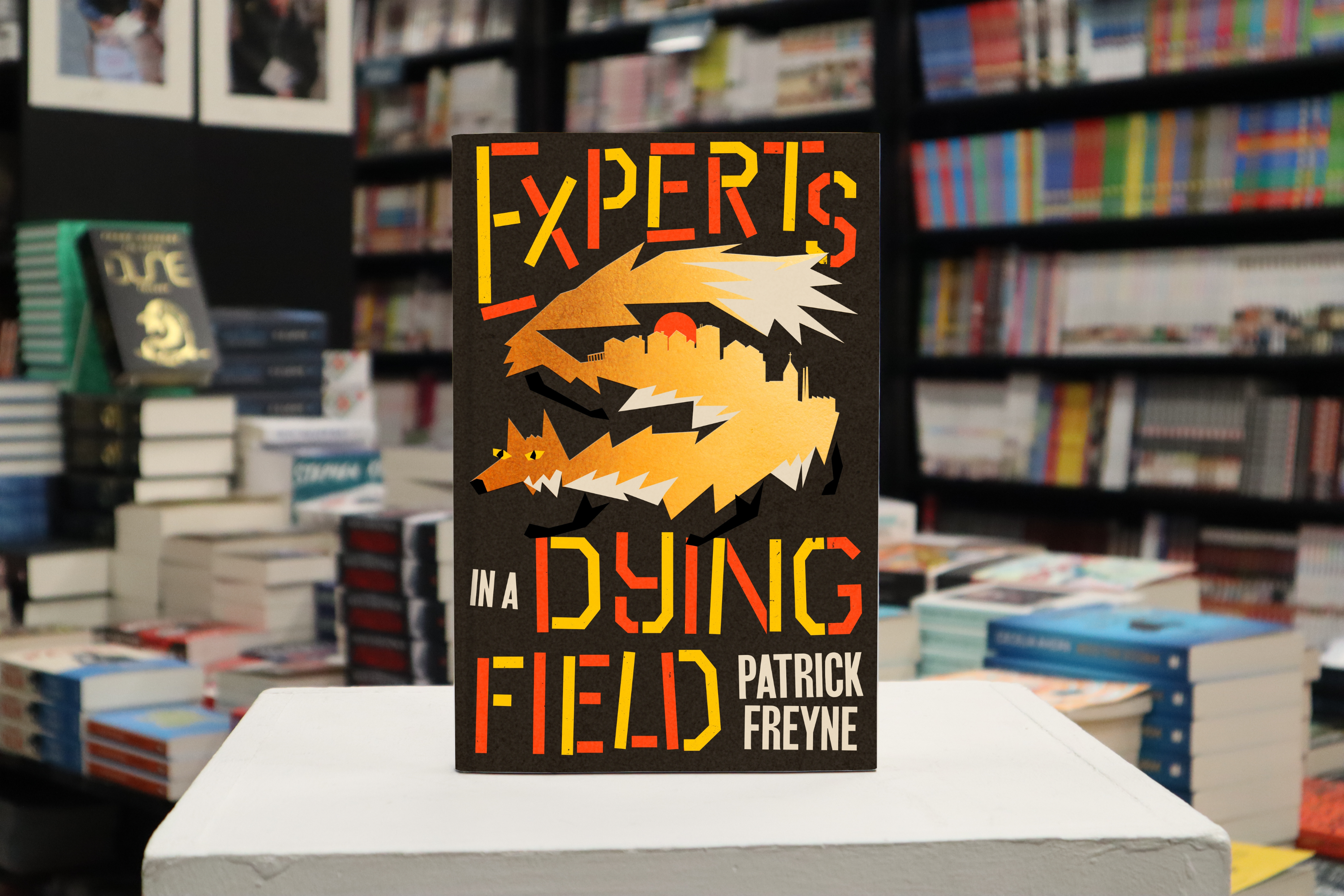 Experts in a Dying Field - Patrick Freyne