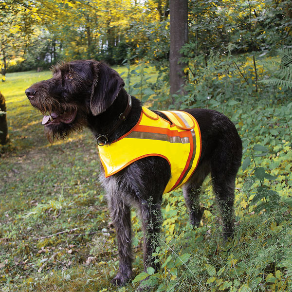 Reflektorweste für Hunde