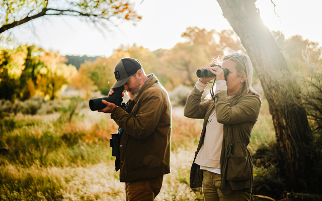 AT/ST Balance – Bild 1