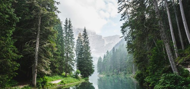 Waffengesetz – Änderungen ab 28.04.2026