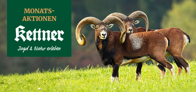 Monatsaktionen Mai 2026