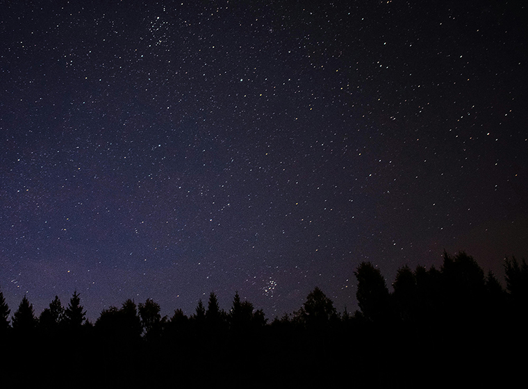 Kuva öisestä tähtitaivaasta, kuvan alareunassa näkyy metsän siluetti.