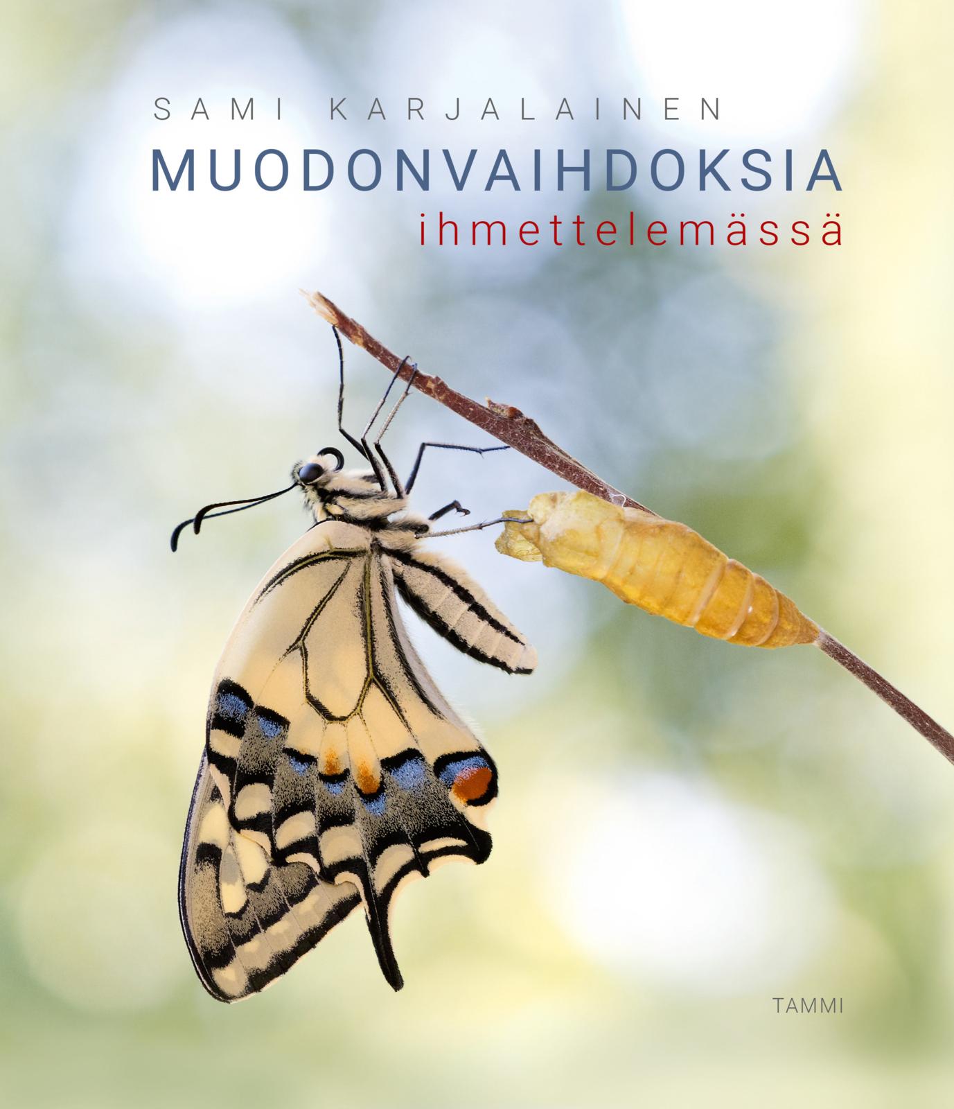 Muodonvaihdoksia ihmettelemässä