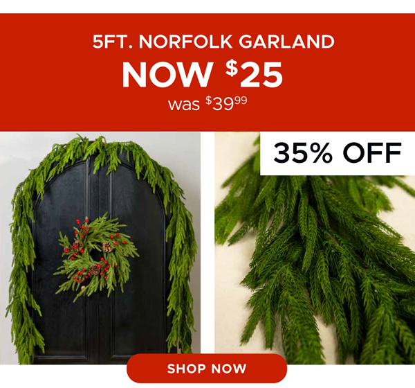 5ft Norfolk Garland