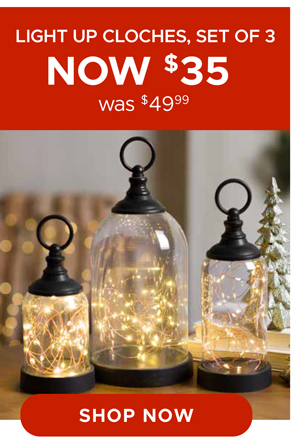 Light Up Cloches, Set of 3