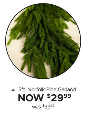 5ft Norfolk Garland