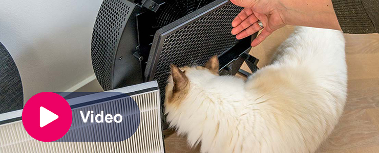 Hoe werkt een luchtreiniger?