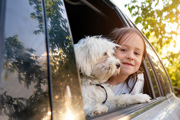 Meisje kijkt uit raam van een auto samen met een hond