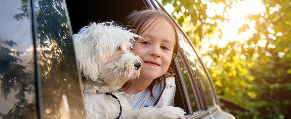 Kind en hond in een auto kijkend door een open autoraam