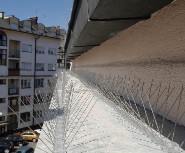 Home Set Veći - 6 komada &scaron;iljaka za rasterivanje ptica sa dvostrano lepljivom trakom