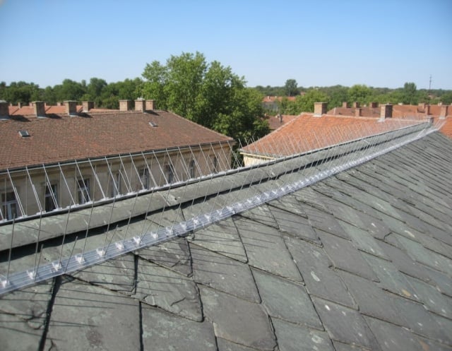 Stop Birds &scaron;iljci za rasterivanje ptica ( BK-0806-A )