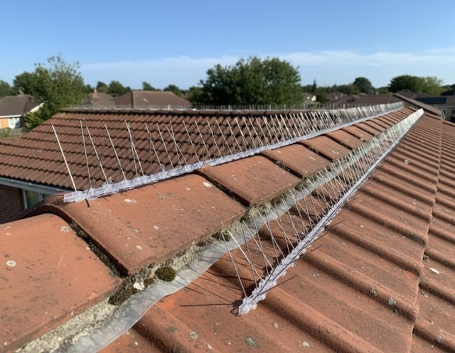 Home Set Manji - 3 komada &scaron;iljaka za rasterivanje ptica sa dvostrano lepljivom trakom