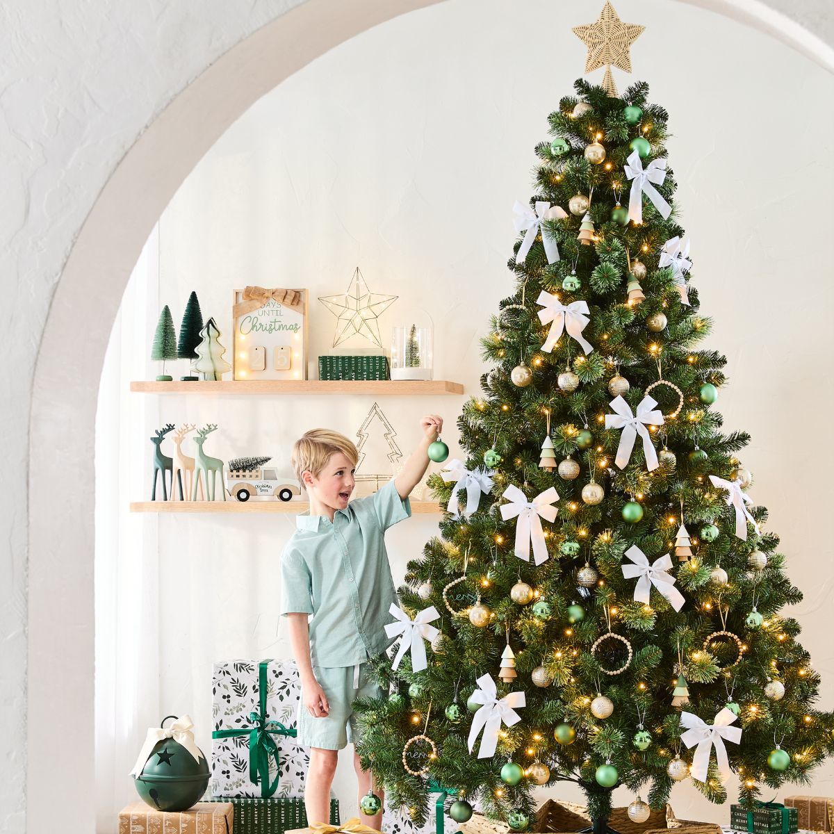 Read our Christmas tree buying guide