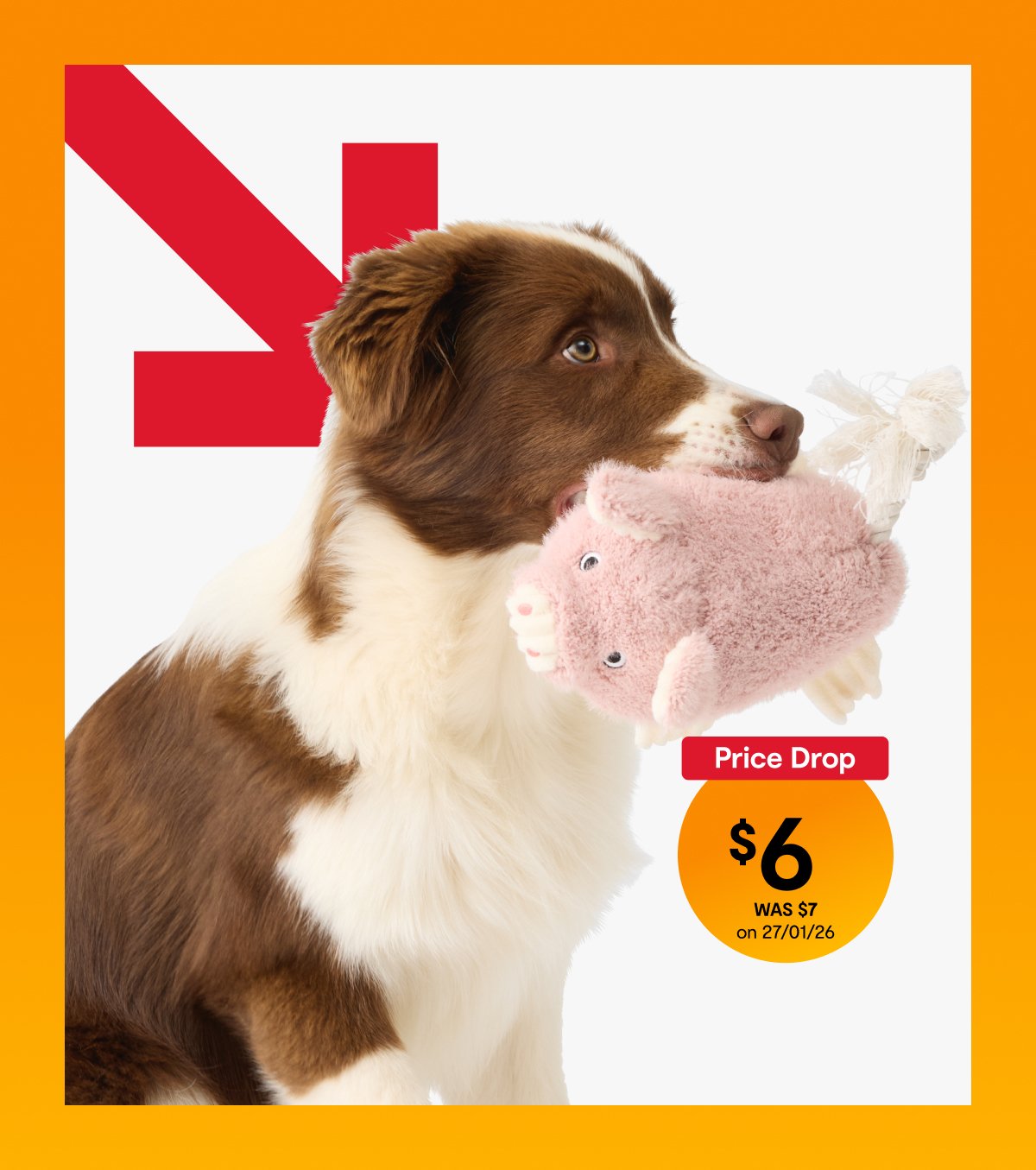 Super soft pig pet plush toy $6. WAS $8 on 27/01/26.