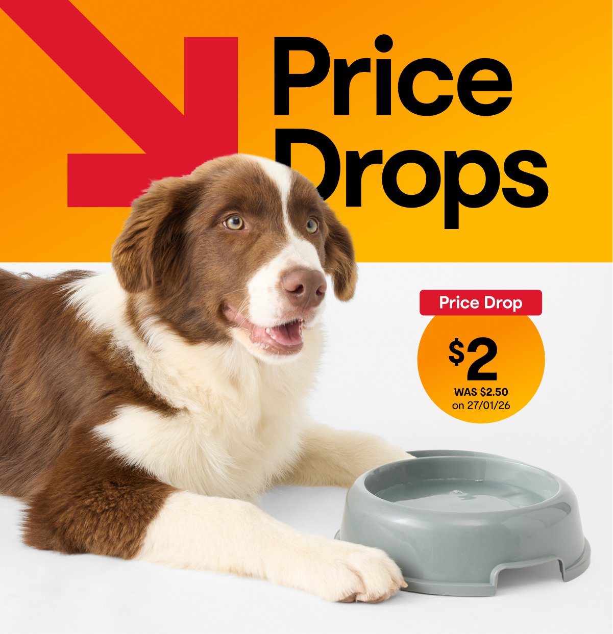 Dog Bowl Plastic Grey