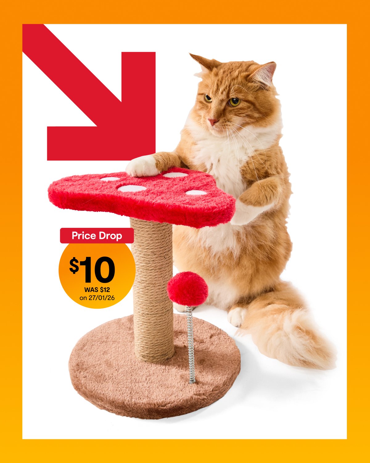 Assorted novelty cat towers $10. WAS $12 on 27/01/26 .