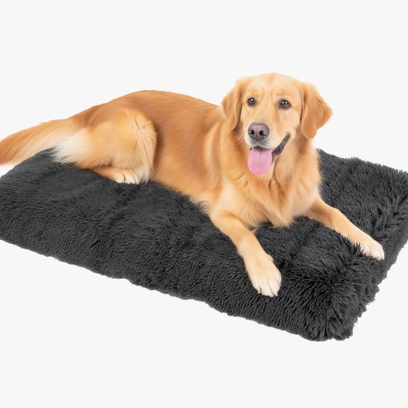 Pet orthopaedic mattress XL $30. WAS $35 on 27/01/26. 